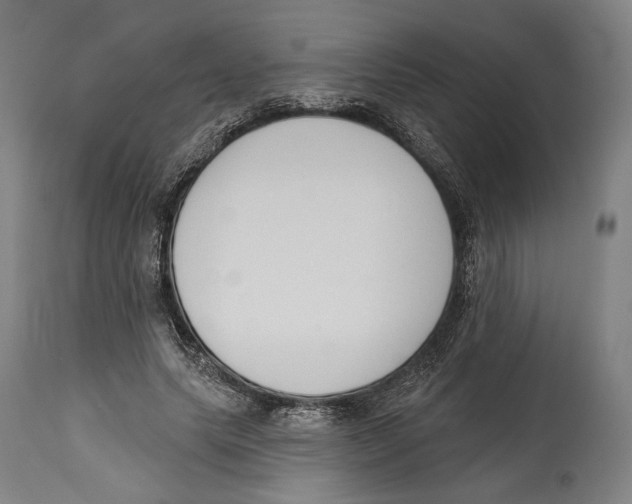 X0000114440639200911131516