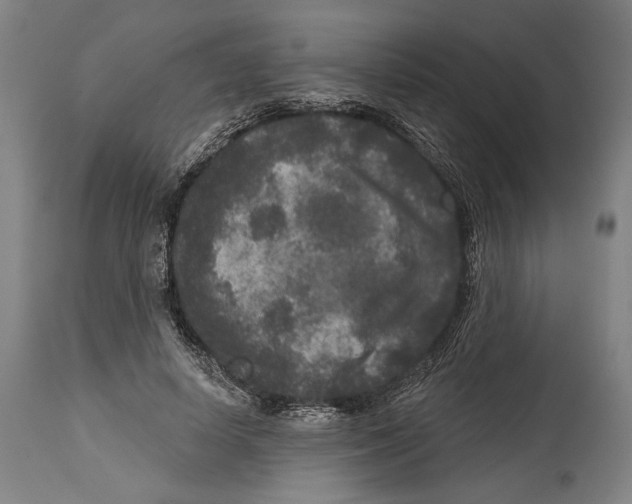 X0000114440642200911131516