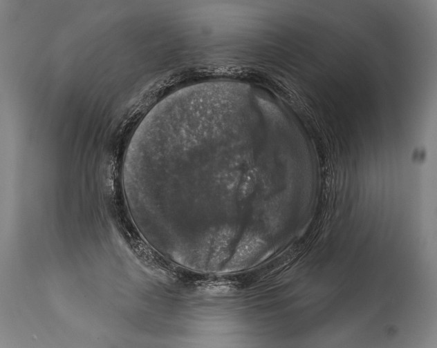 X0000114440643200911131516