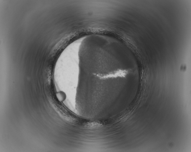 X0000114440644200911131516