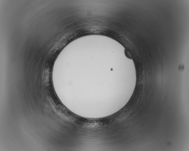 X0000114440646200911131516