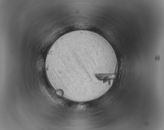 X0000114440647200911131517