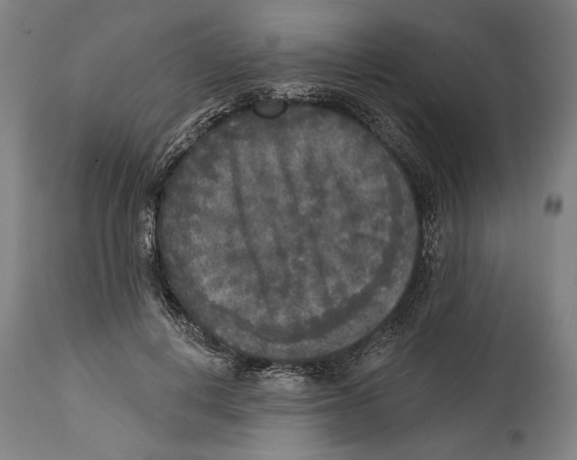 X0000114440648200911131517