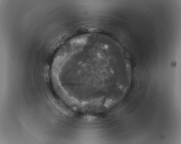 X0000114440650200911131517