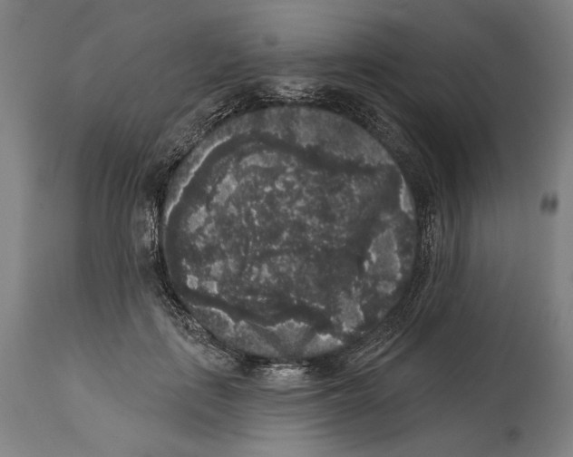 X0000114440651200911131517