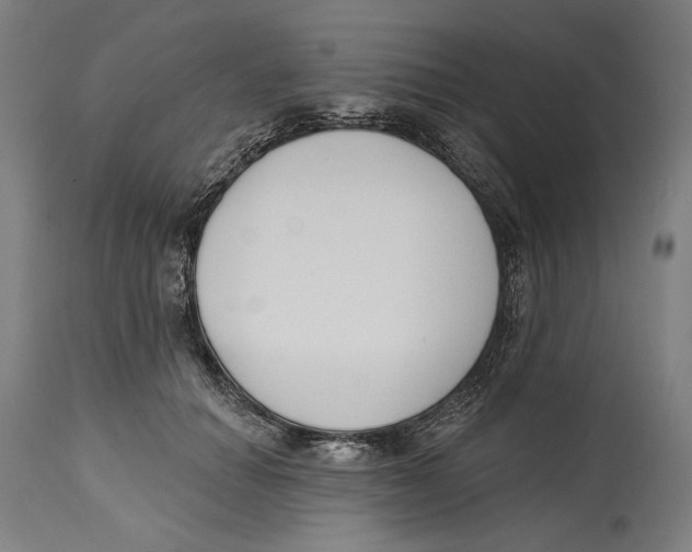 X0000114440654200911131517