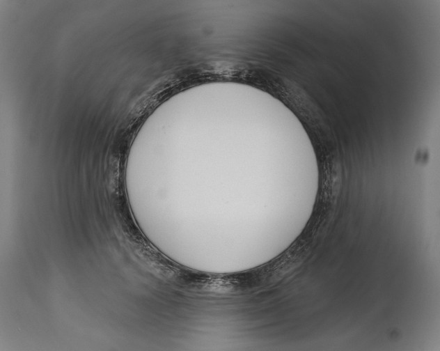 X0000114440656200911131517