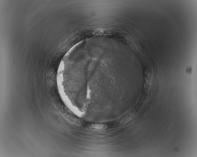 X0000114440659200911131517