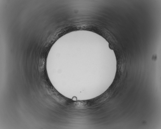 X0000114440660200911131517