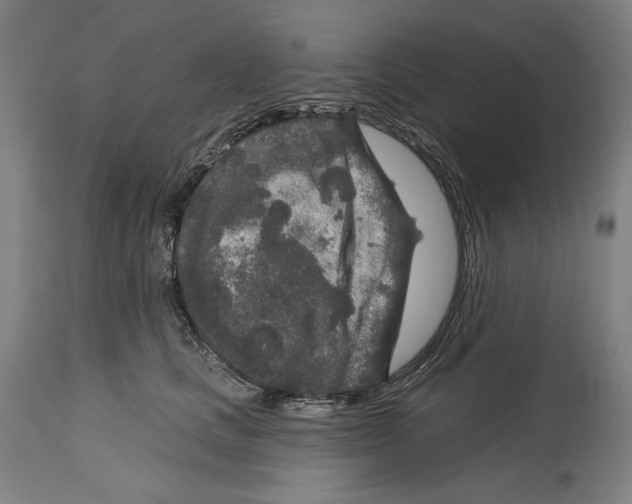 X0000114440661200911131517