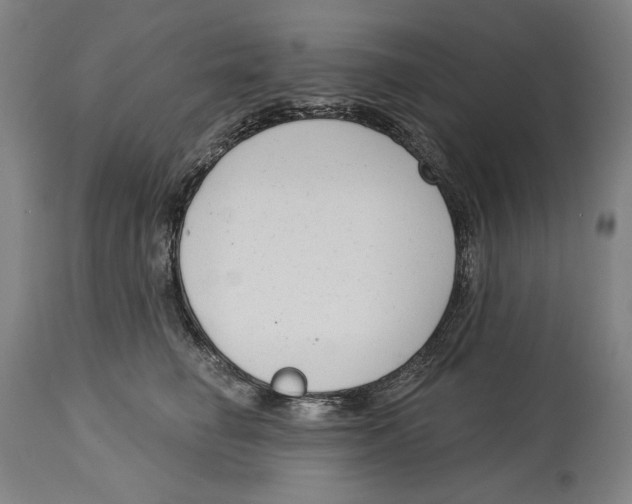 X0000114440662200911131517