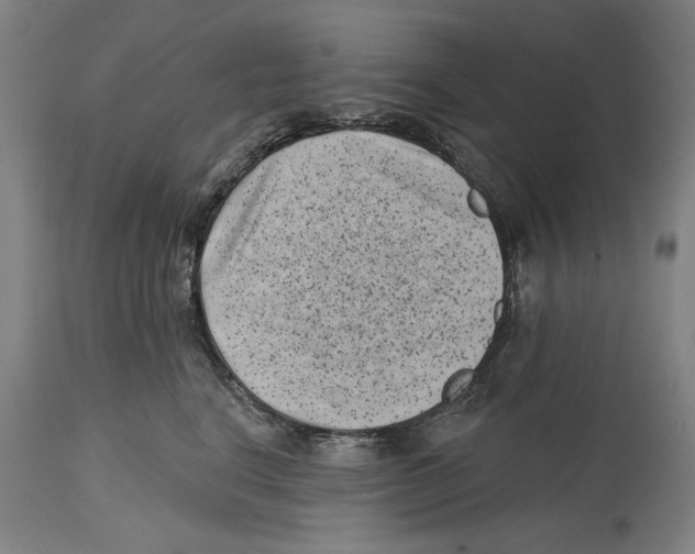 X0000114440664200911131517