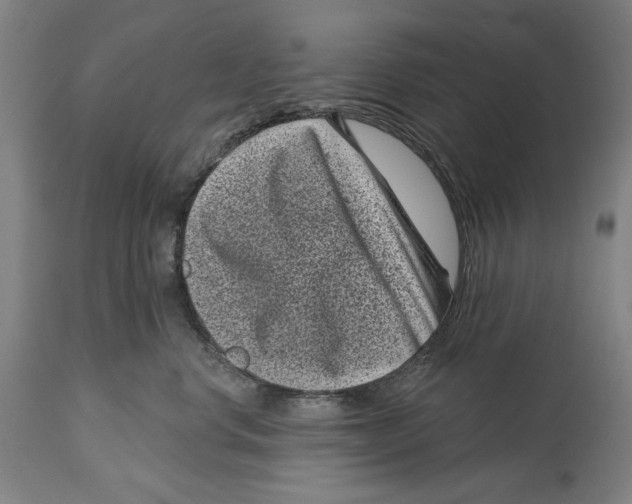 X0000114440668200911131517