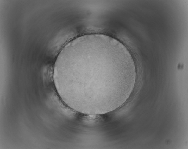 X0000114440672200911131517