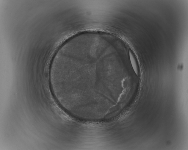 X0000114440673200911131516