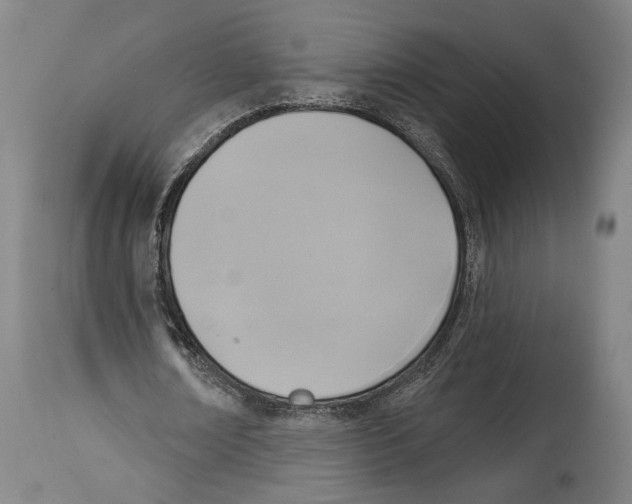 X0000114440674200911131516