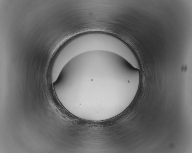 X0000114440676200911131516