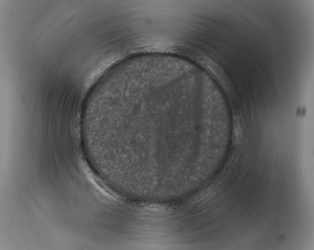 X0000114440677200911131516