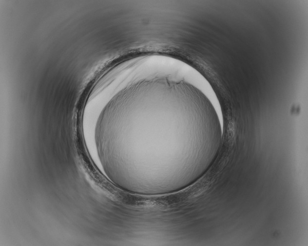 X0000114440678200911131516