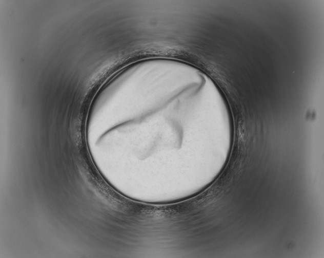 X0000114440679200911131516