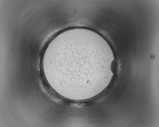 X0000114440680200911131516