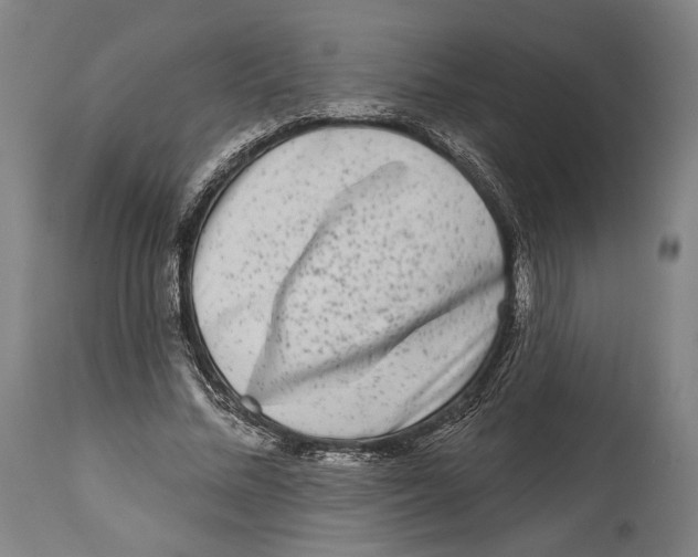 X0000114440684200911131516