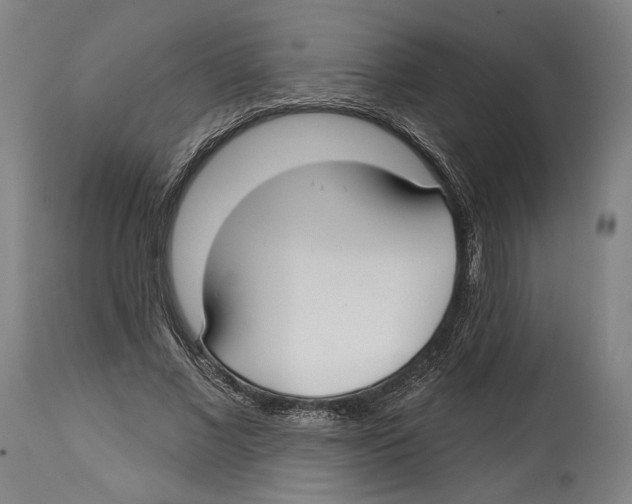 X0000114440685200911131516