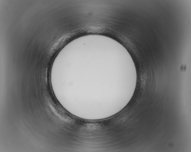 X0000114440686200911131516