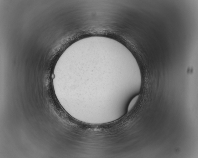 X0000114440687200911131516