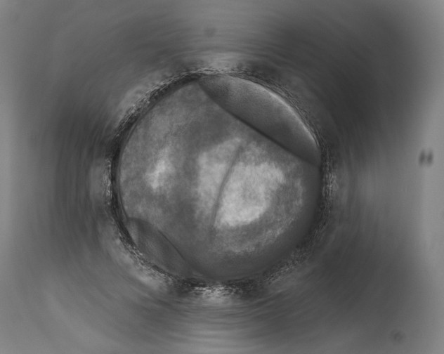 X0000114440688200911131516