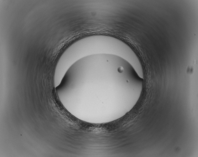 X0000114440689200911131516