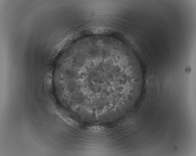 X0000114440691200911131516