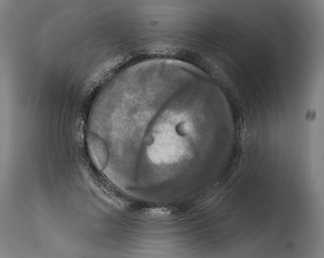 X0000114440692200911131516