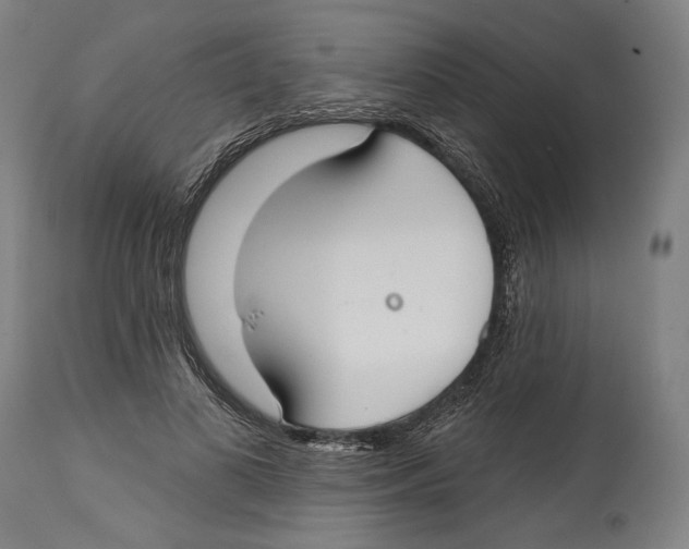 X0000114440693200911131516