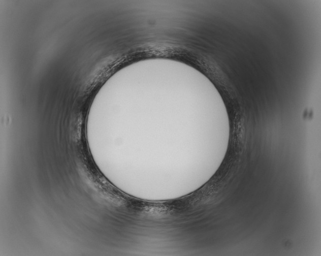 X0000114440694200911131516