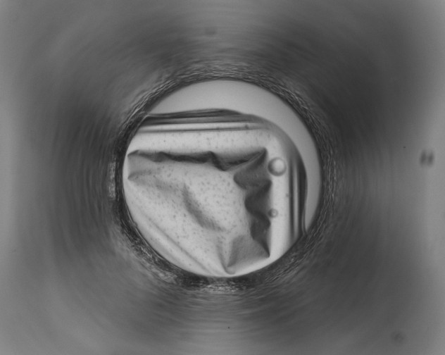 X0000114440696200911131516