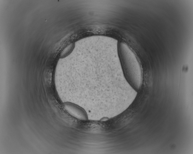 X0000114440697200911131516