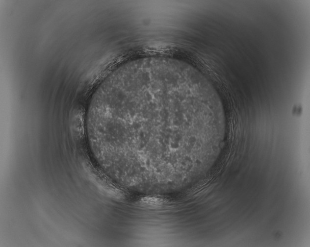 X0000114440699200911131516