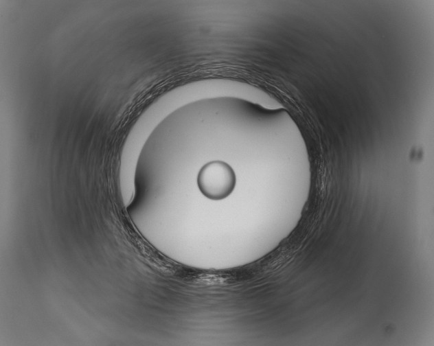 X0000114440701200911131516