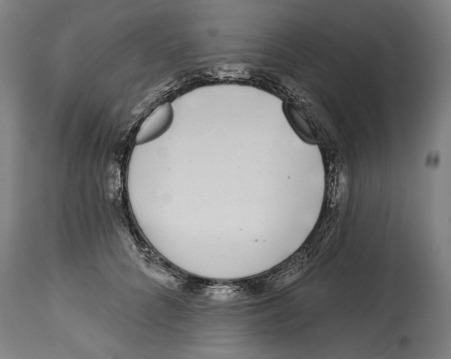 X0000114440704200911131516