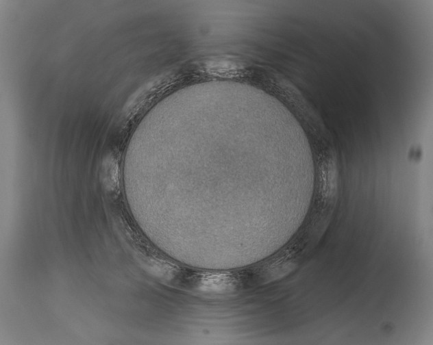 X0000114440705200911131516