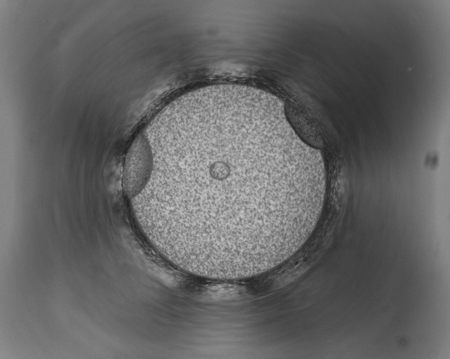 X0000114440708200911131516