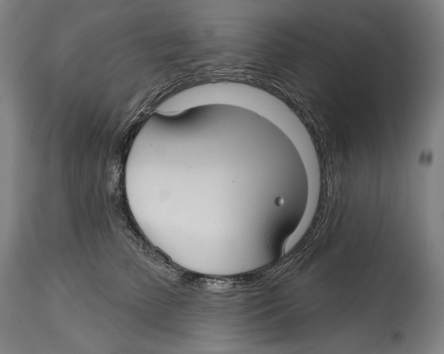 X0000114440709200911131516