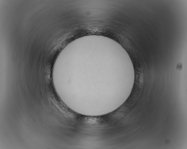 X0000114440710200911131516