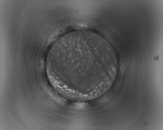 X0000114440711200911131516