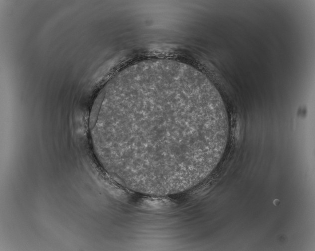 X0000114440712200911131516