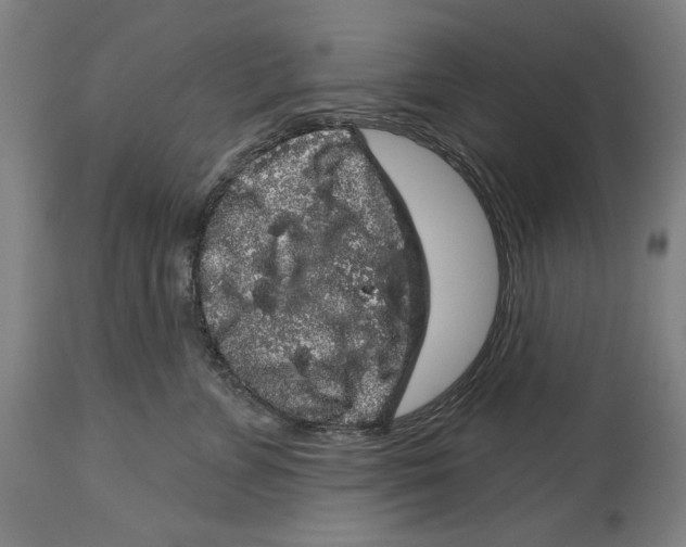 X0000114440715200911131516