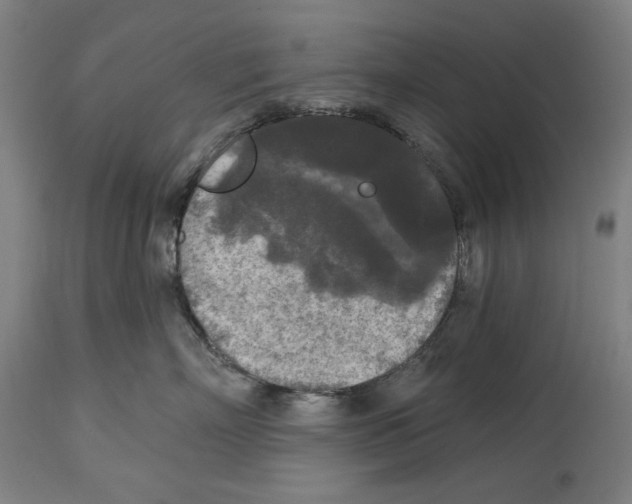 X0000114440718200911131516