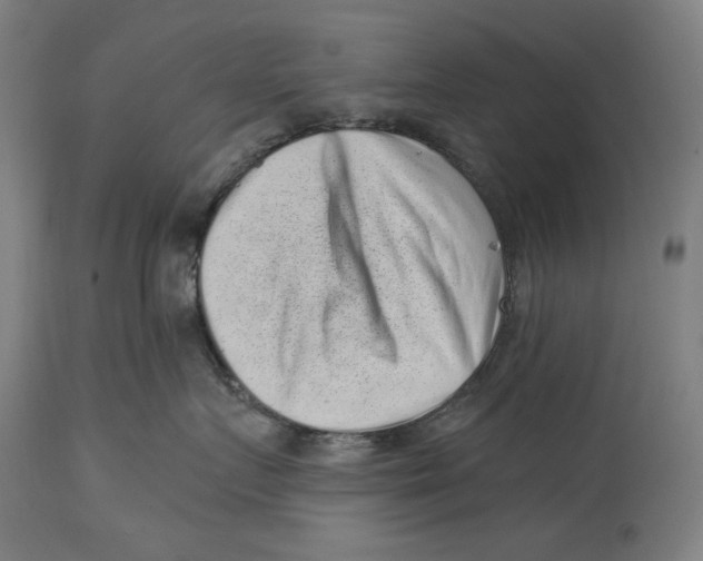 X0000114440719200911131516