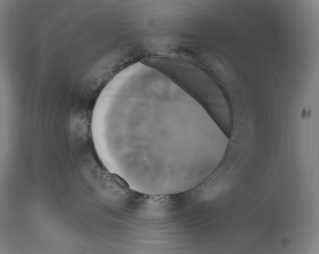 X0000114440720200911131516